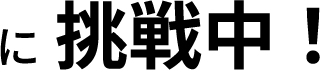 に挑戦中!